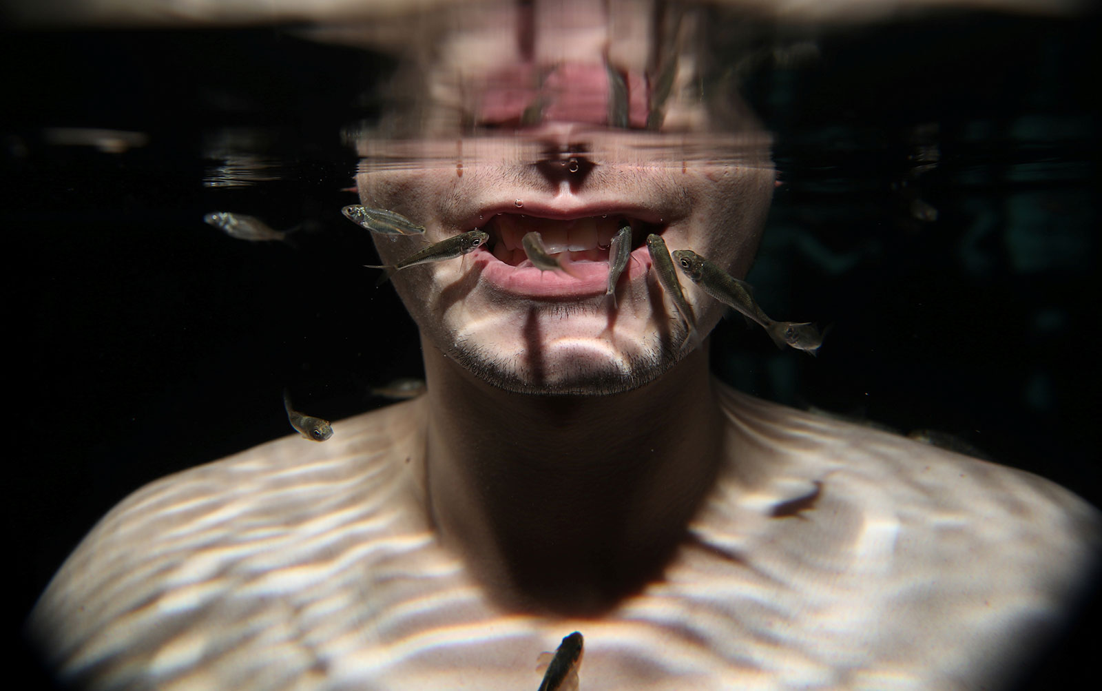 click for next image... slideshow image